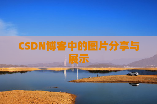 CSDN博客中的图片分享与展示